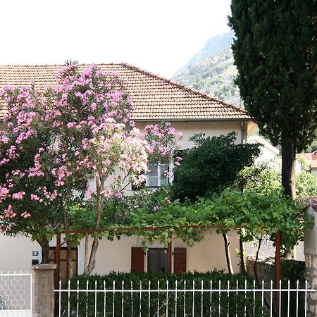 House 561 Apartamento Kotor Exterior foto