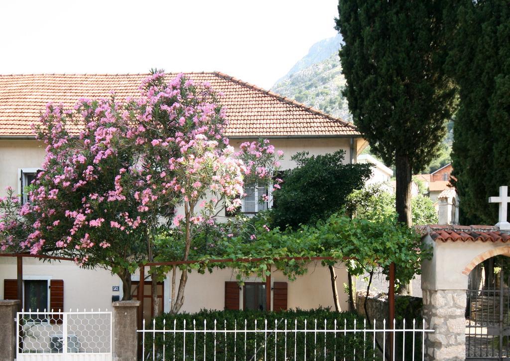 House 561 Apartamento Kotor Exterior foto